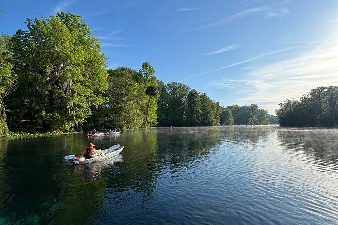 Guided Clear Kayak Tours on the Silver River - Who Will Love This Tour?