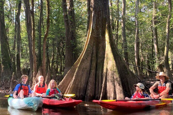 Guided Congaree National Park Kayak Tour - Key Points