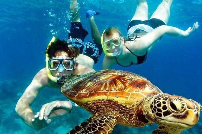 Guided Coral Reef Snorkeling Tour - Final Thoughts