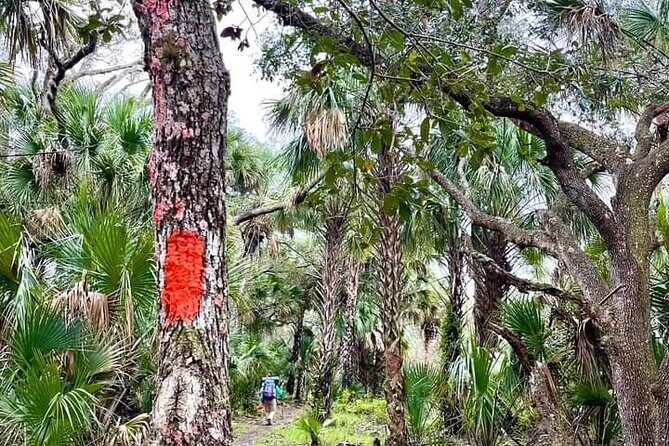 Guided Day Hike Through Florida's wild Backcountry. - Key Points
