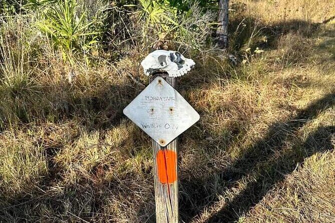 Guided Day Hike Through Florida's wild Backcountry. - A Closer Look at the Experience