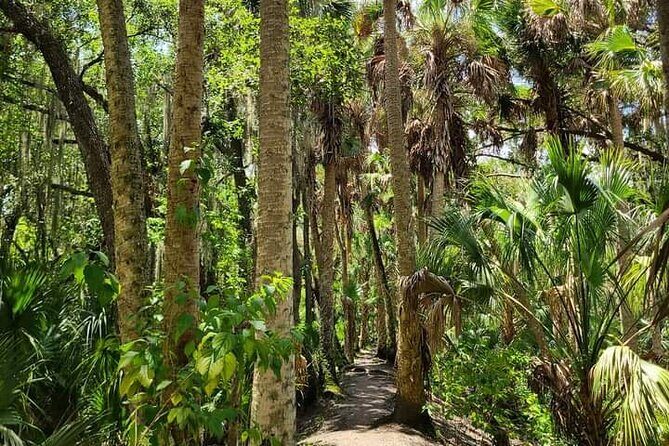 Guided Day Hike Through Florida's wild Backcountry. - Who Should Consider This Tour?