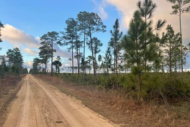 Guided Day Hike Through Florida's wild Backcountry. - Final Thoughts