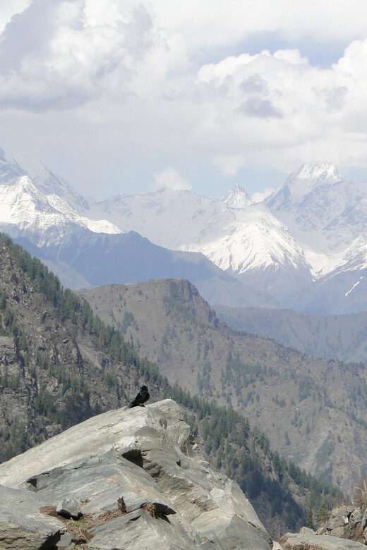 Guided Day Hike to Guna Devi Temple from Mcleodganj - FAQs
