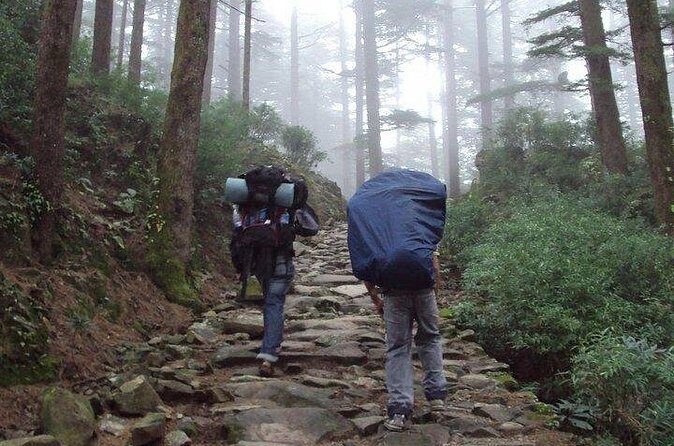 Guided Day Hike to Guna Devi Temple from Mcleodganj - Authentic Feedback from Travelers