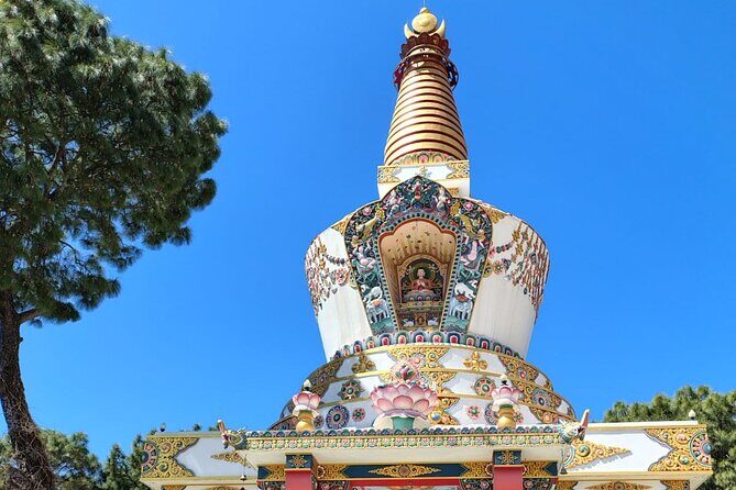 Guided Day Tour to Bir Monasteries,Temple & Tea Garden Visit - Wrapping Up the Day