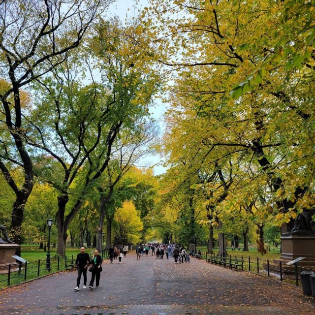 Guided Deluxe Pedicab Tour in Central Park - Authentic Traveler Feedback and Insights
