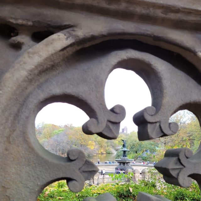 Guided Deluxe Pedicab Tour in Central Park - Is It Worth the Price?
