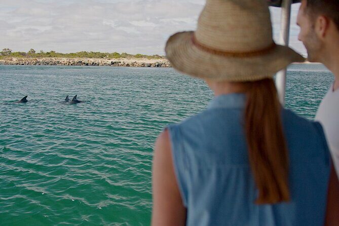 Guided Dolphin Eco-Cruise in Koombana Bay - Overview and Initial Impressions