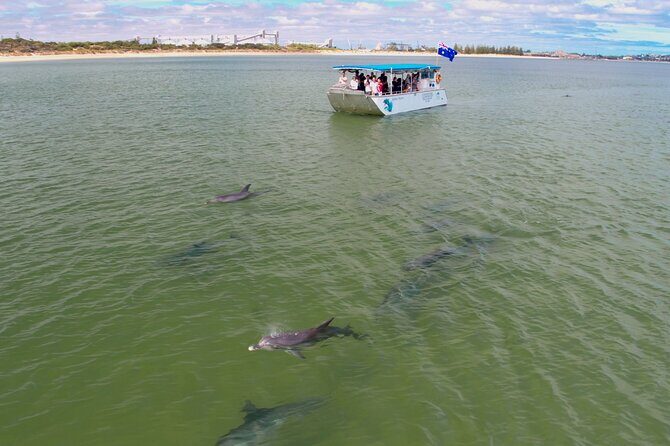 Guided Dolphin Eco-Cruise in Koombana Bay - The Experience from Different Perspectives