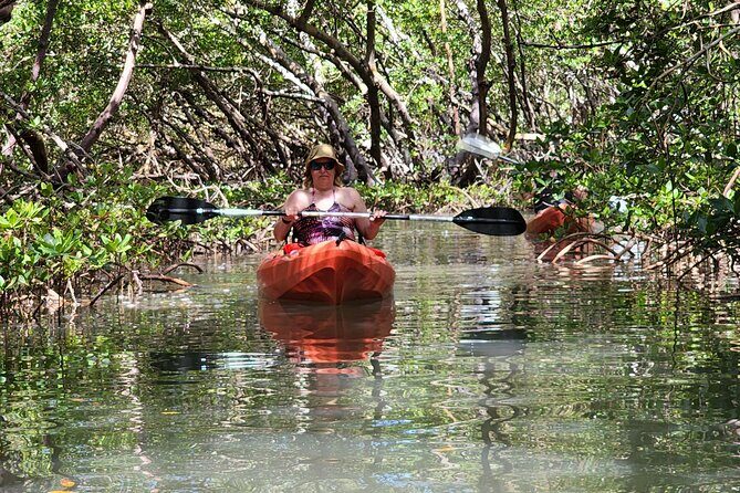 Guided Dolphin Eco Tour by Kayak & SUP - Fort Myers Beach, FL - A Close Look at the Tour Itinerary and Experience