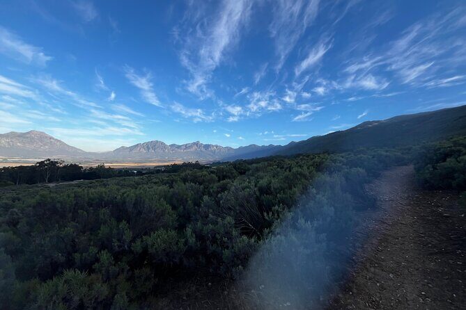 Guided E-Bike Rides in the Boland District of the Western Cape SA - Who Will Love This Tour?