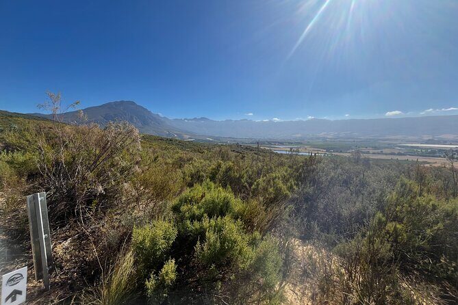 Guided E-Bike Rides in the Boland District of the Western Cape SA - The Sum Up