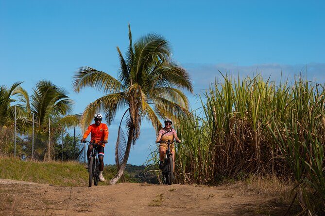 Guided E-bike Tour - The Experience in Detail