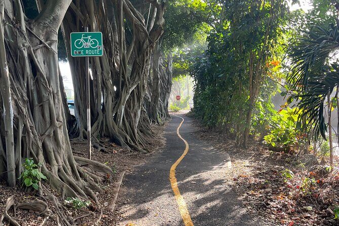 Guided E-Bike Tour in North Shore - What We Loved and What to Consider