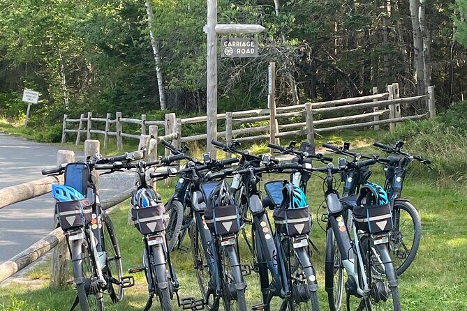 Guided Ebike Tour of Acadia National Park Carriage Roads - The Guides: Knowledge and Personal Touches