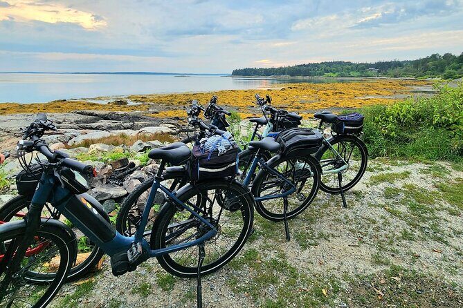 Guided Ebike Tour of Acadia National Park Carriage Roads - Who Should Consider This Tour?