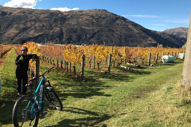 Guided eBike Wine Tour Ride to the Vines - The Sum Up