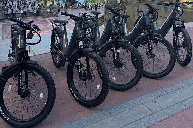 Guided Electric Bike Tour of Central Park in New York City - The Sum Up
