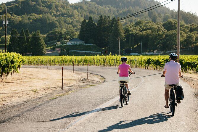 Guided Electric Bike Wine Tour Through Sonoma County - A Scenic Spin Through Sonoma’s Vineyards
