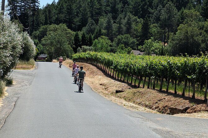 Guided Electric Bike Wine Tour Through Sonoma County - The Sum Up
