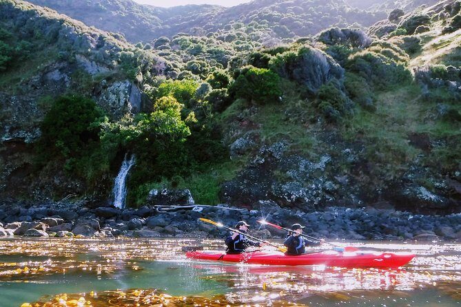 Guided Electric Mountain Bike & Sea Kayak Tour in Akaroa - Frequently Asked Questions