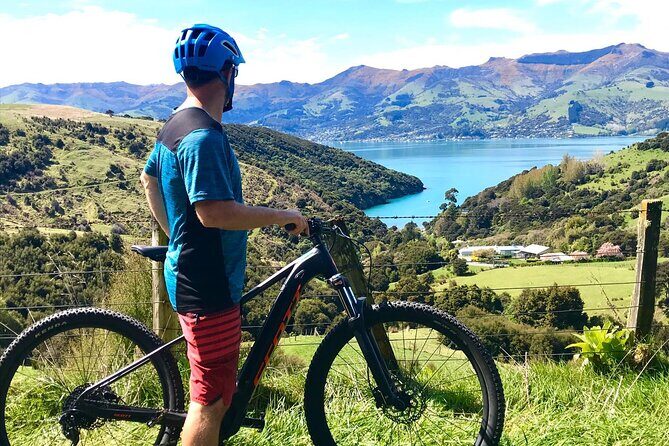 Guided Electric Mountain Bike Tour- Akaroa Explorer - Why Choose an E-Bike Tour?