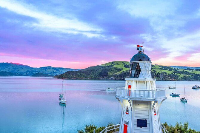 Guided Electric Mountain Bike Tour- Akaroa Explorer - The Value: Is It Worth It?