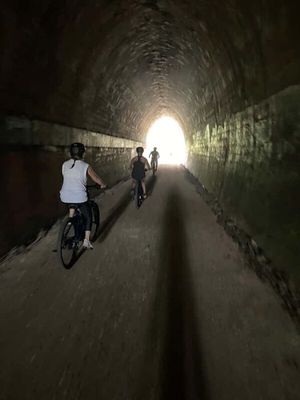 Guided Evening Glow Worm Experience - Byron Bay - Key Points
