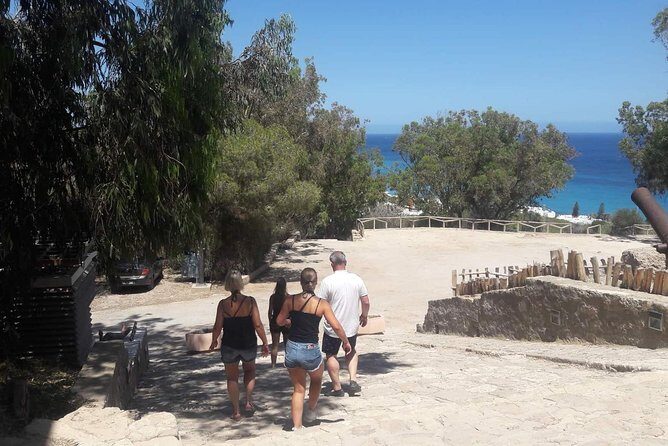 Guided Excursion Cap-Bon from Hammamet - What Past Travelers Say