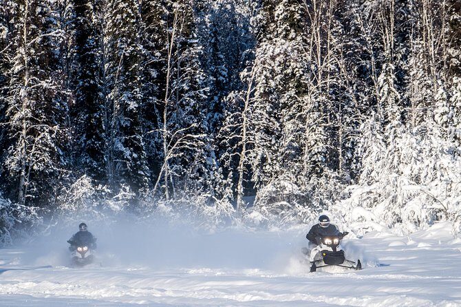 Guided Fairbanks Snowmobile Tour - What’s Included and How It Works