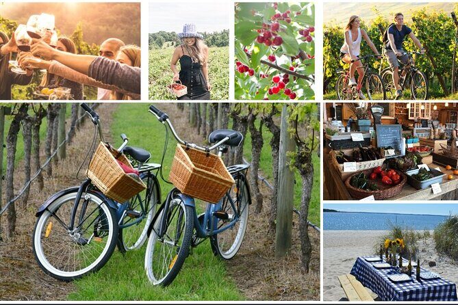 Guided Farm and Wine Country Bike Tour in Mattituck NY - A Scenic and Tasty Ride Through Long Island’s North Fork