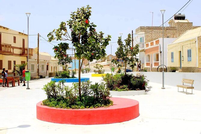 Guided Full Day Island Tour in Boa Vista with Lunch - A Closer Look at the Itinerary