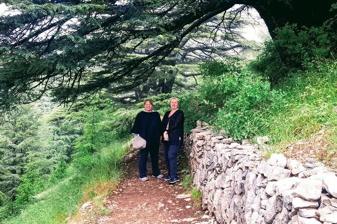 Guided Full-Day Private Trip to Cedars, Baalbek and Chateau Ksara - The Charm of the Beqaa Valley and Château Ksara
