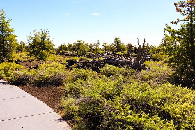 Guided Full-Day Tour to Craters of the Moon National Monument & Preserve - What Sets This Tour Apart: The Experience of a Lifetime