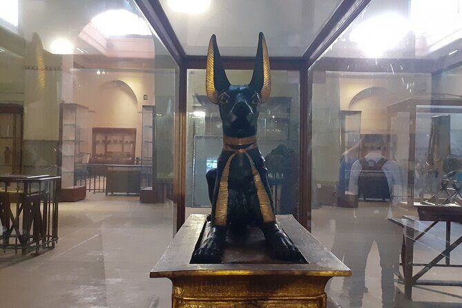 Guided full day tour to Giza pyramids, Egyptian Museum and Bazaar - Who Will Appreciate This Tour?
