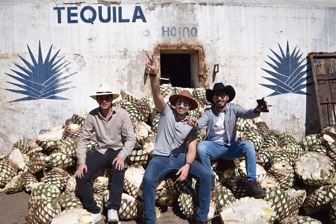 Guided Full Day Tour to Tequila and Cantaritos el Guero - An In-Depth Look at the Tour Experience