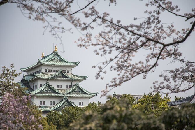 Guided Garden Walk: Nagoya Castle, Gardens & Historic Estate - Key Points