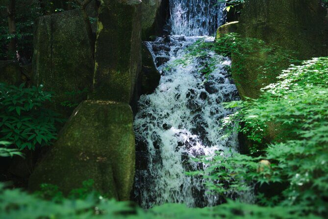 Guided Garden Walk: Nagoya Castle, Gardens & Historic Estate - FAQ