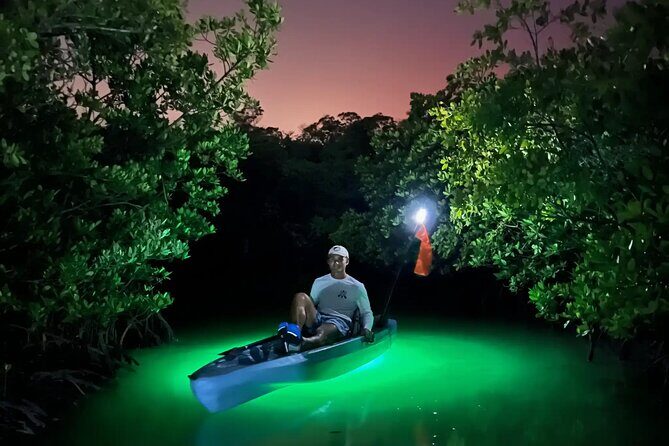 Guided Glow LED Kayak Sunset Activity in Bonita Springs - An Overview of the Experience