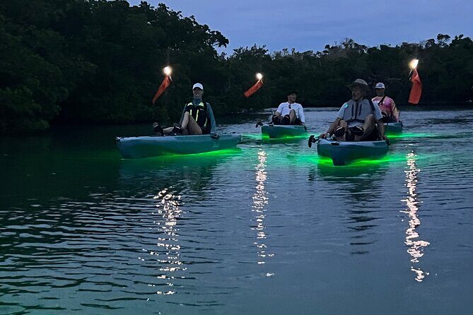 Guided Glow LED Kayak Sunset Activity in Bonita Springs - What’s Included and What to Expect
