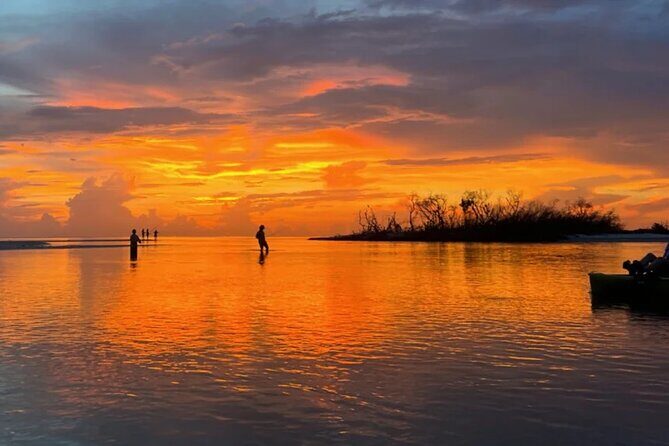 Guided Glow LED Kayak Sunset Activity in Bonita Springs - Who Will Love This Tour?