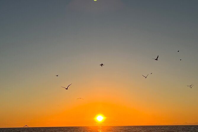 Guided Glow LED Kayak Sunset Activity in Bonita Springs - The Sum Up