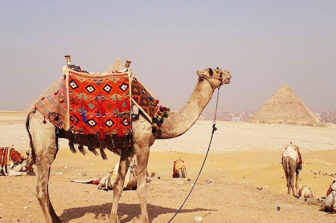 Guided Half-Day Trip to Giza Pyramids with Camel-Riding - Transportation and Group Size: Practical Considerations