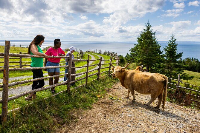 Guided Highland Village and Baddeck Bus Tour for Cruise Excursion - FAQ