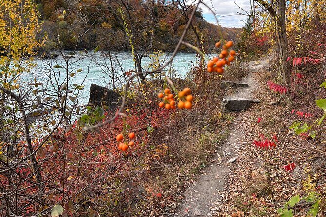 Guided Hike Along the Niagara River Gorge to Power Plant Ruins - What to Expect on the Guided Niagara River Gorge Hike