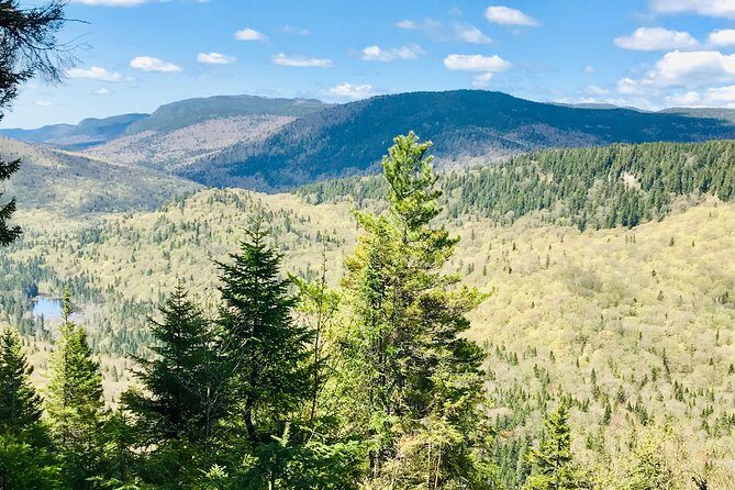 Guided Hike in Jacques-Cartier National Park - Pricing and Value