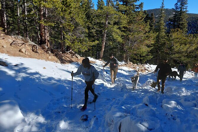 Guided hike in Rockies - Half Day Trip - FAQ
