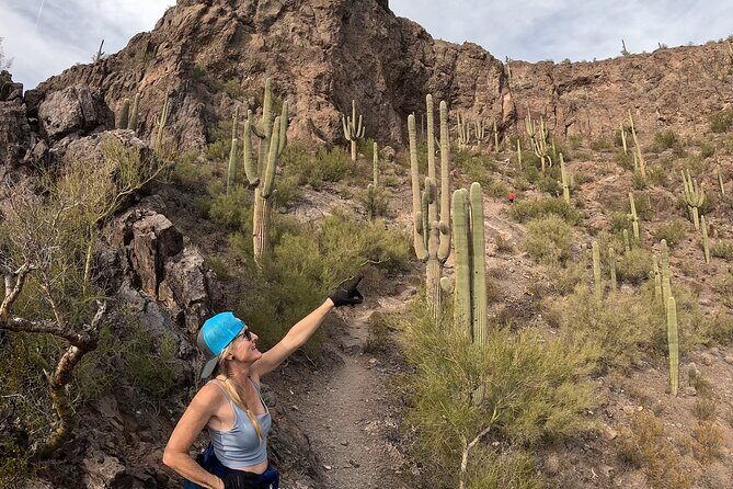 Guided Hike in the Sonoran Desert - Final Thoughts