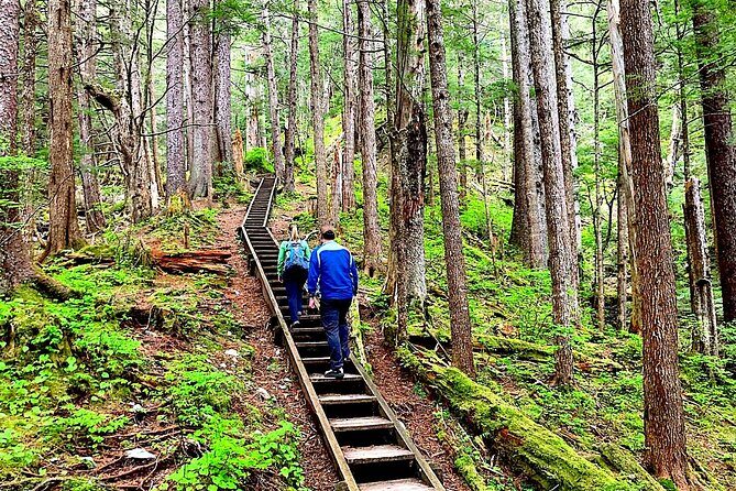 Guided Hike | TONGASS NATIONAL FOREST - Key Points